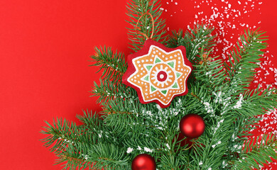 Christmas star on a branch