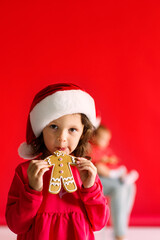 Girl in santa hat with christmas gingerbread	