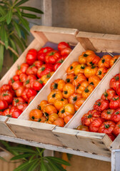 Red and yellow tomatoes stacked in crates in Arles, France. Tomatoes in boxes at the store. Summer harvest in Provence.