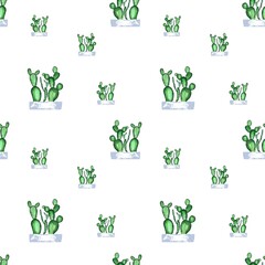 Cactus green seamless pattern a watercolor sketch