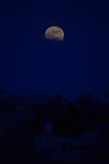 Fototapeta na wymiar full moon over the city