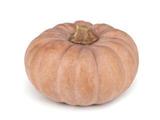 Nutmeg pumpkin front view, squash isolated on white background