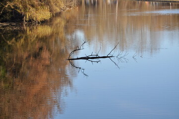 Herbstliche Spiegelung auf einem See