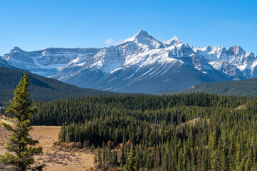 Fototapeta premium Landscape panorama: snow-capped mountain with autumn hills covered by dry yellow grass and trees at the foreground and blue sky as a background.