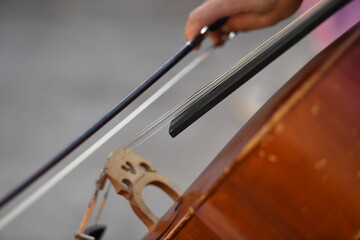 Partial view to a man who plays the double bass in Valencia-Spain.