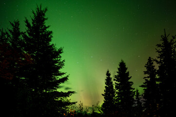 Fototapeta na wymiar The moving aurora light above Jasper, Northern Light, stars