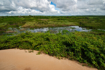 Brejo das Dunas de Itaúnas (Paisagem) | Itaunas dunes swamp
