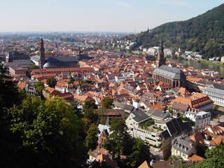 Fototapeta na wymiar Heidelberg city in Germany from the top