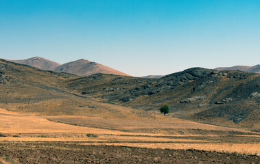 Fototapeta na wymiar landscape with mountains and sky and a tree 