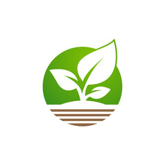Green leaf logo design vector. growing plant