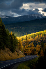 A road with Panoramic view over hills with fall colors in Canadian Rockies