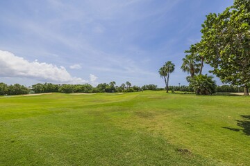 Beautiful view of green grass golf field on blue sky background on bright summer day. Aruba. 