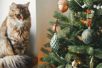 Cute cat sitting at stylish christmas tree with vintage baubles. Pet and winter holidays. Adorable tabby cat sitting on wooden window sill near decorated tree in festive room. Merry Christmas! - Powered by Adobe