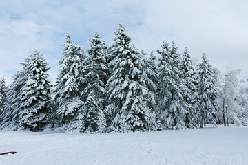 Winter view of South Park in city of Sofia, Bulgaria
