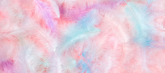 Background of fluffy, colored bird feathers. The texture of the feathers.