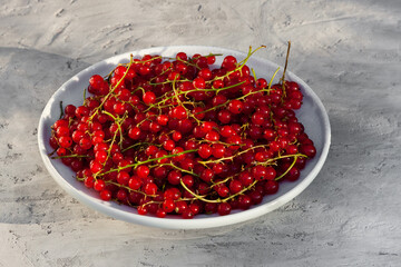 red currant berries on a concrete-gray background in the rays of the sun.