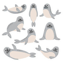 Set of vector illustrations of a seal in different poses. Sea seal in flat style. Ocean animal.
