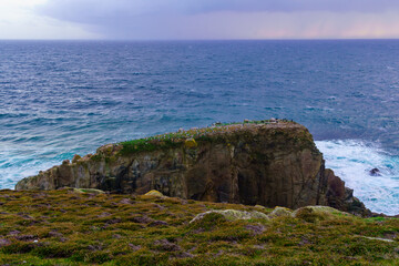 Fototapeta na wymiar Rock with various seabirds, in the Lands End, Cornwall