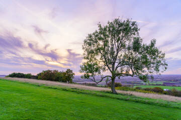 Naklejka premium Sunset view of tree, and countryside in Dunstable Downs