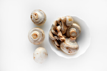 Large porcini mushrooms in a white plate on a white background. Mushrooms on a white background. Fresh mushrooms.