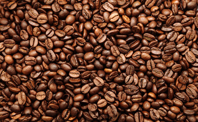Roasted coffee beans
