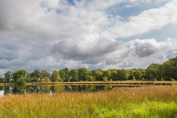 Landscape with a fen and reflection of trees and shore plants in the water on the Kampsheide between Assen and Balloo in the Dutch province of Drenthe