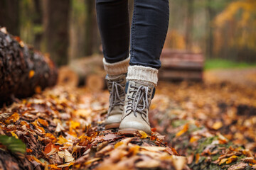 Walking in autumn forest. Leather hiking boot with knitted socks