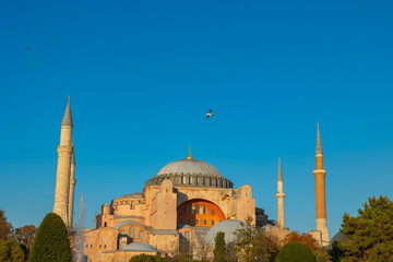 Hagia Sophia or Ayasofya Mosque at sunset with a seagull on the dome