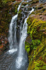 Naklejka premium McDowell Creek Falls County Park in Linn County, Oregon, United State