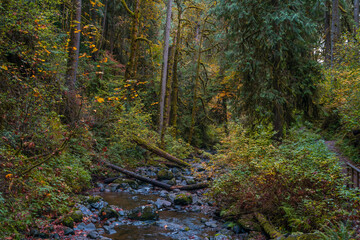 McDowell Creek Falls County Park in Linn County, Oregon, United State