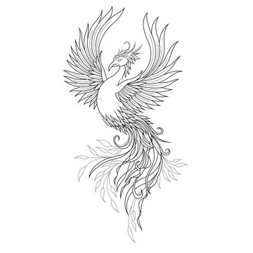 illustration of an eagle, Phoenix tattoo