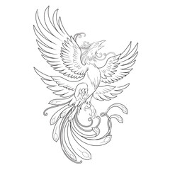 illustration of an eagle, Phoenix Tattoo 
