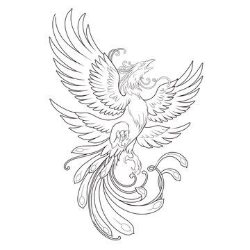 illustration of an eagle, Phoenix Tattoo 