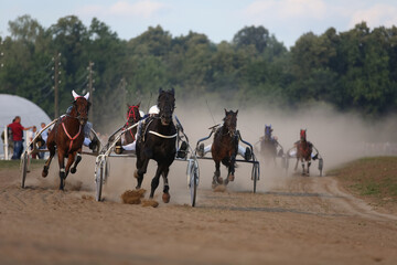 Fototapeta na wymiar Horses and riders running at horse races