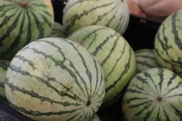 Closeup of round, seedless watermelons at a farmer's market