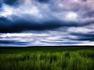 Obraz premium Blue sky and green fields, generated by A.I.