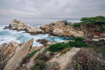 Fototapeta na wymiar Point Lobos State Natural Reserve. Rocky beach, cypress forest, and Pacific Ocean, California