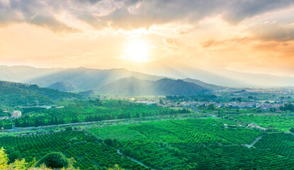 green beautiful valley with gardens and plantations and amazing mountains on background during sunset or sunrise