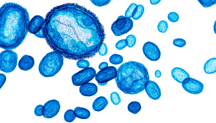 Pox, Mpox (monkey pox) or poxviridae virus flow, one virus showing the DNA inside. 3d visualization on white background