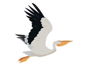 Flying white pelican bird isolated on white background. Graceful Pelican icon. Nature Vector flat or cartoon illustration.