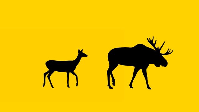 Walking moose and roe deer, animation on the yellow background (seamless loop)