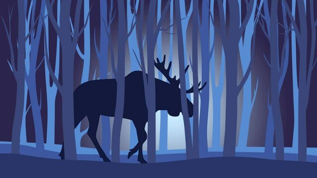 Beautiful night landscape with a moose, walking in the forest (animation, seamless loop)