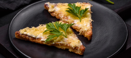 Tasty sandwich with crunchy toast with egg and cheese