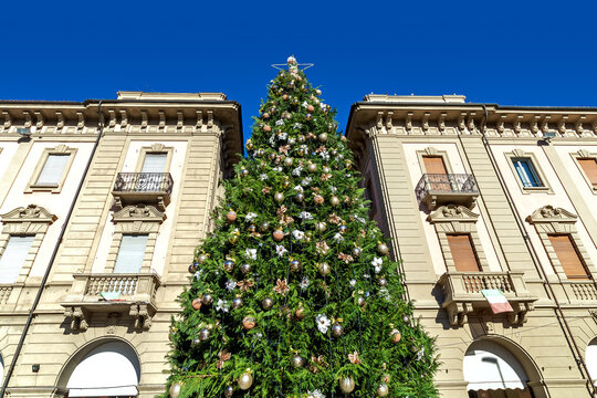 Decorated Christmas tree among old buildings in Alba, Italy.