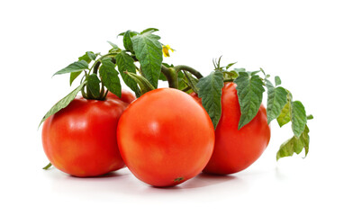 Ripe red tomatoes.