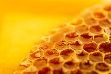 Close up shot of a honeycomb background texture.