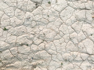 Dry cracked earth. Drought. The dried-up bottom of the lake. Abstract beige background. Copy space