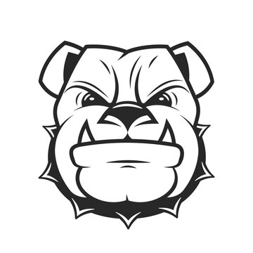 Bulldog logo vector design template in isolated white