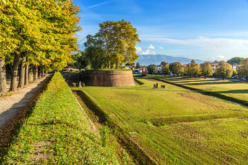 Lucca, Italy. A picturesque park arranged on top of a medieval fortress - obrazy, fototapety, plakaty