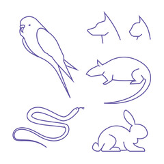 set of vector icons with pets: dog, cat, parrot, rabbit, snake, rat, animal sketch icons